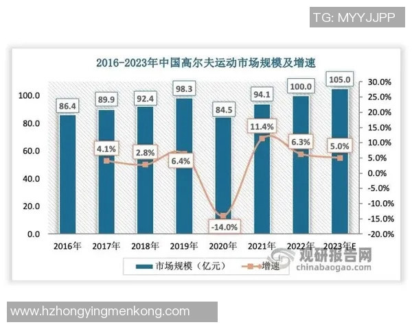 杭州排球队技术对比深度解析与发展趋势展望